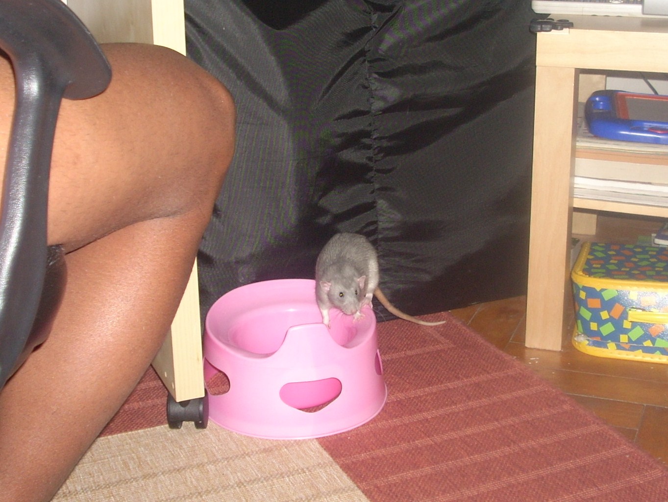 DSCN3472.JPG