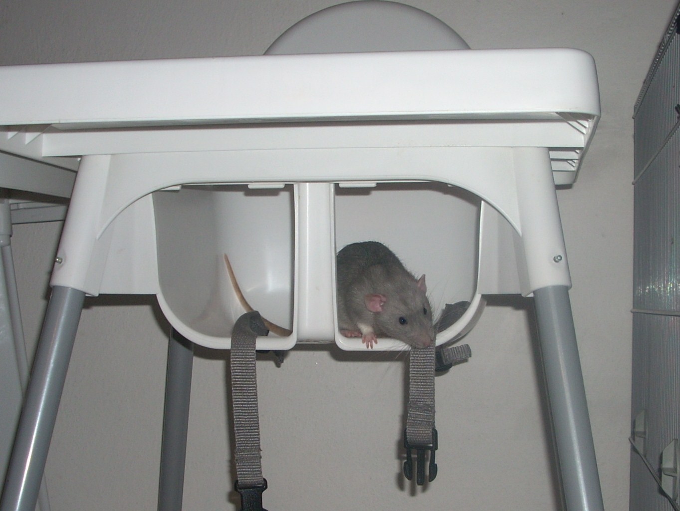 DSCN3482.JPG