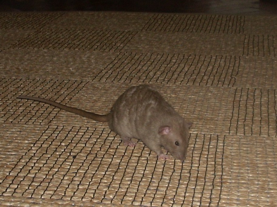 DSCN3495.JPG
