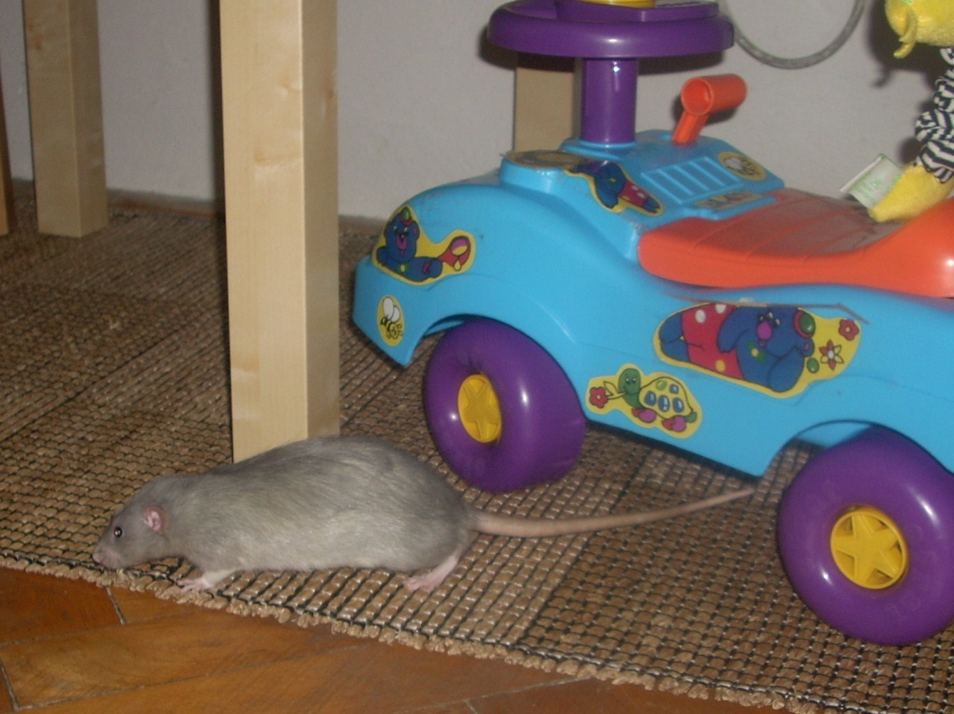DSCN3500.JPG