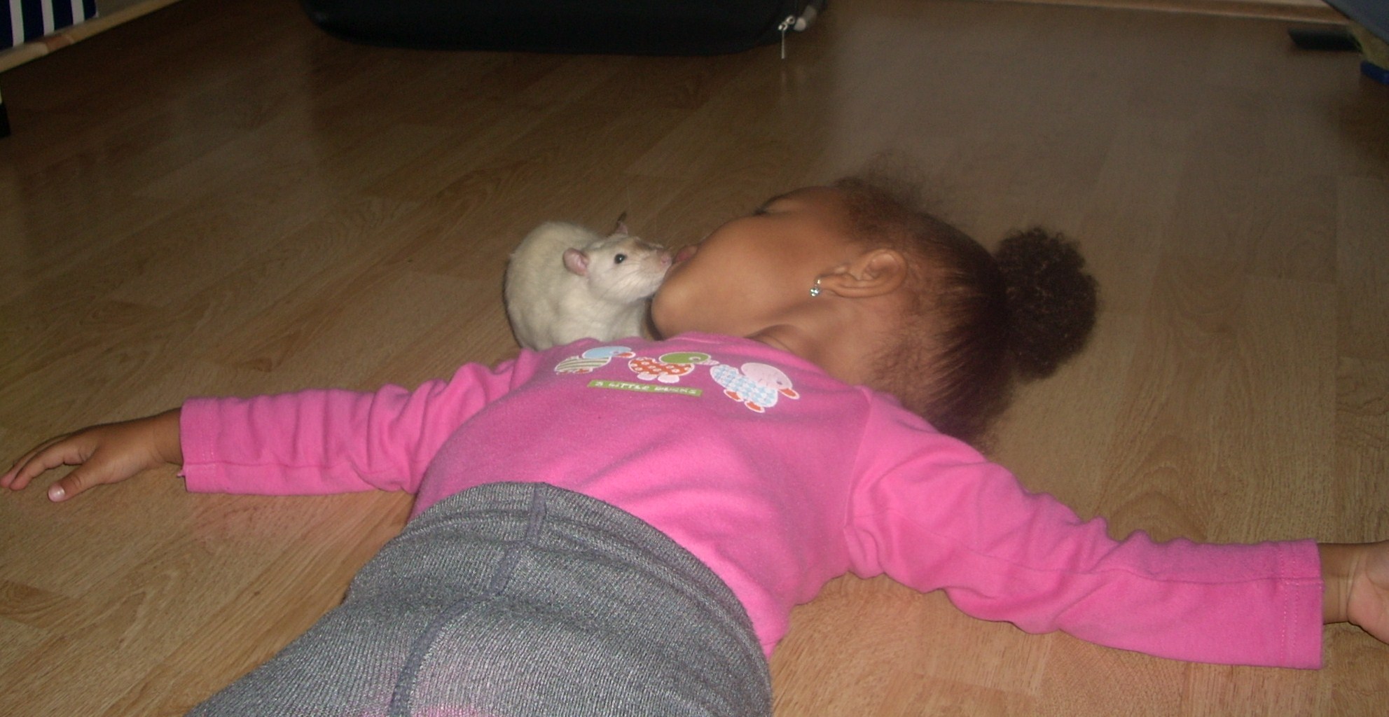 DSCN3506.JPG