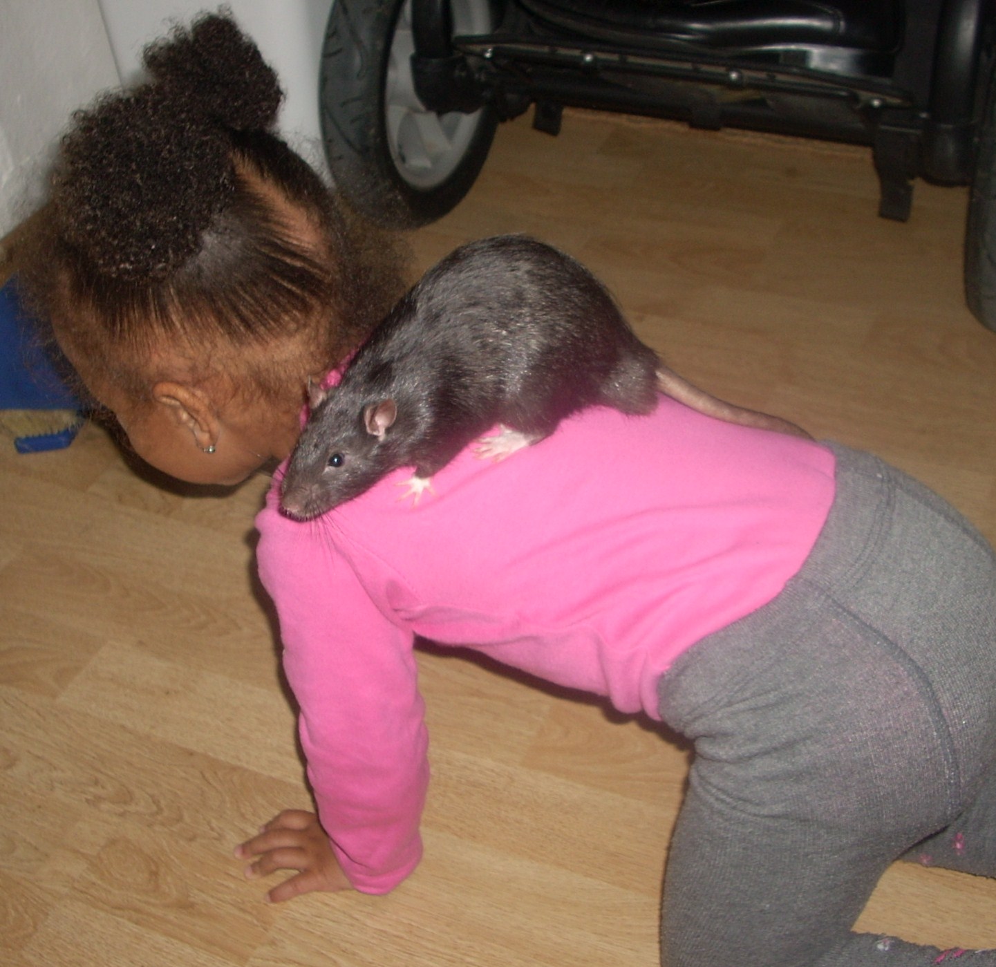 DSCN3511.JPG