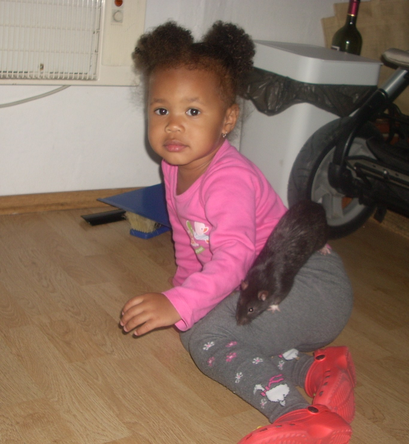 DSCN3512.JPG