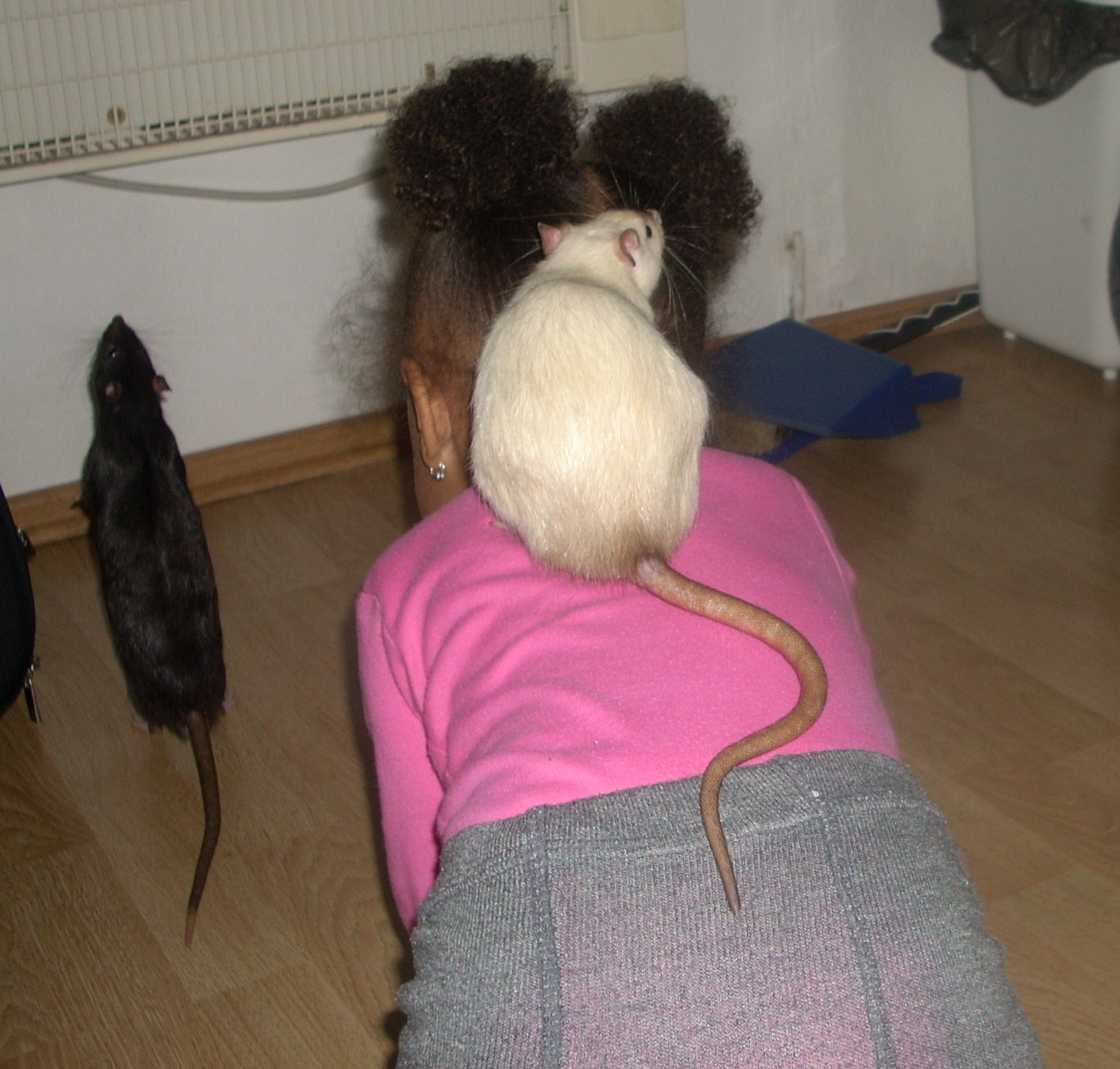DSCN3513.JPG