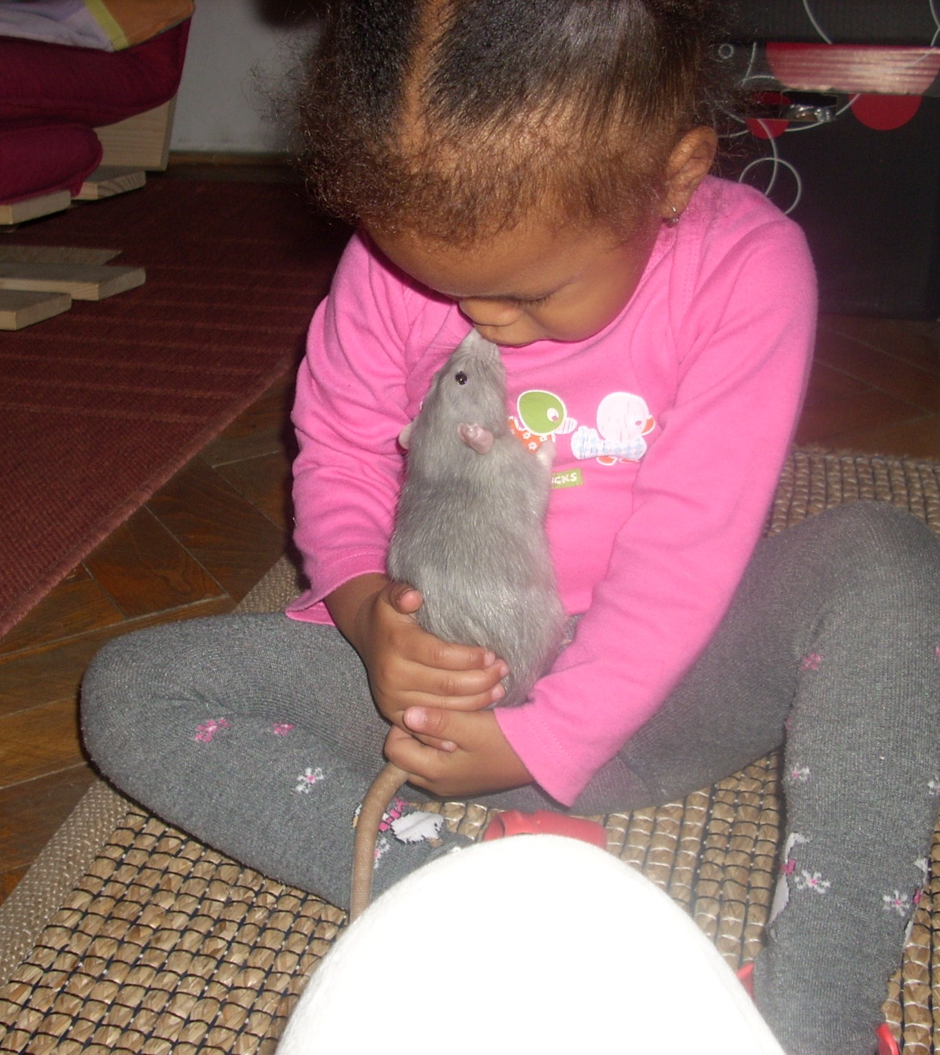 DSCN3516.JPG