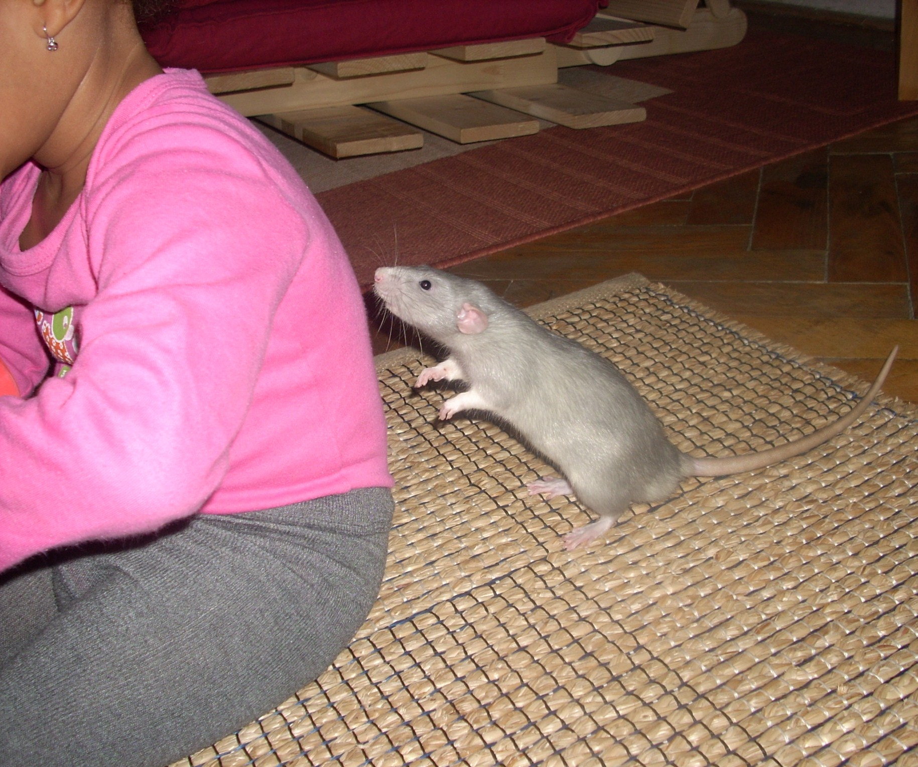 DSCN3519.JPG