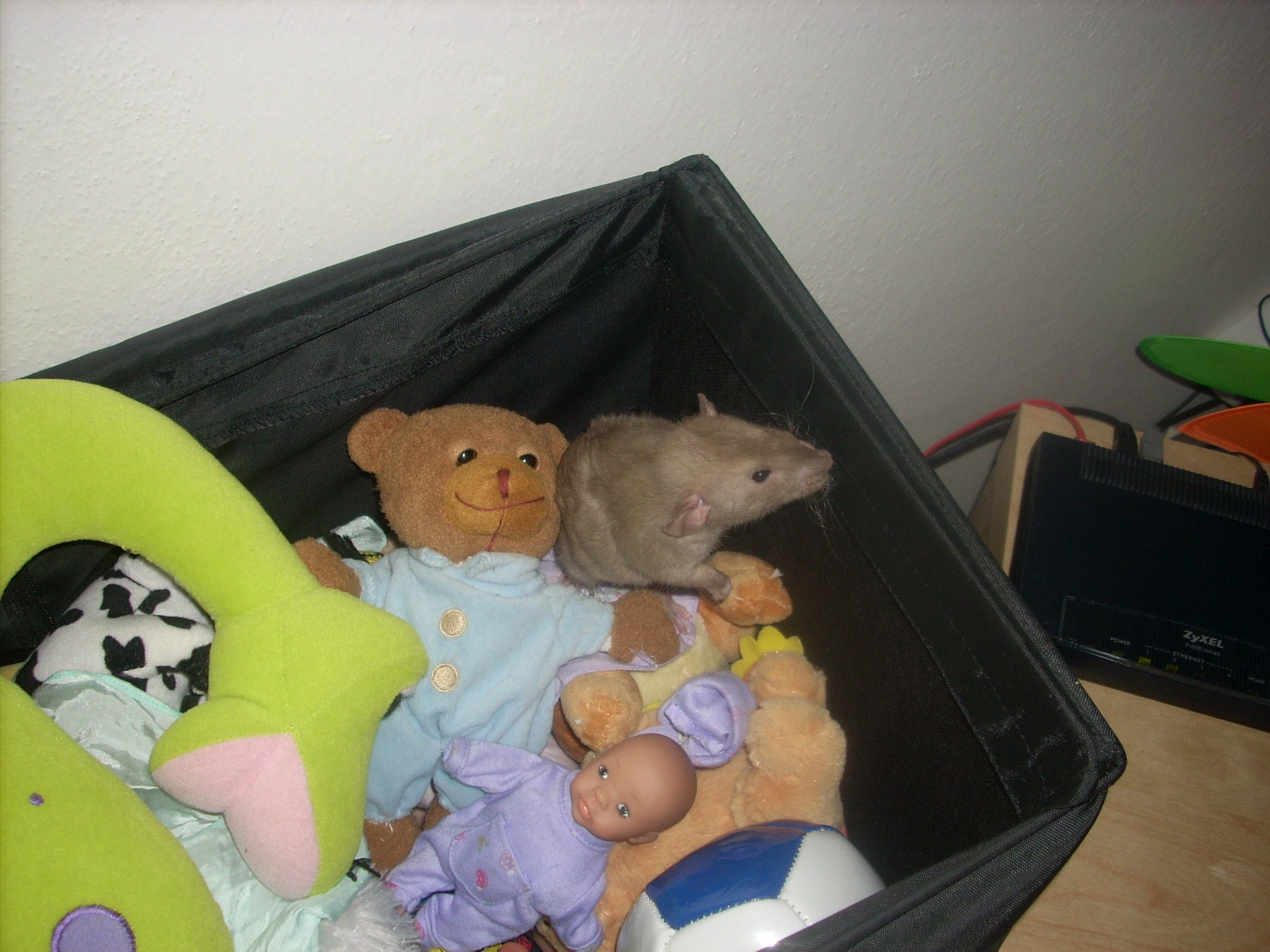 DSCN3523.JPG