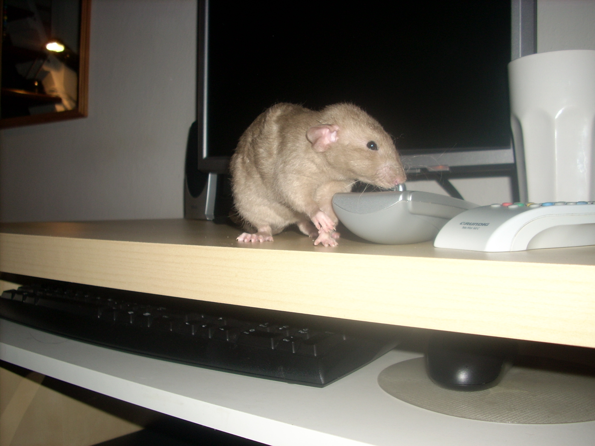 DSCN3527.JPG