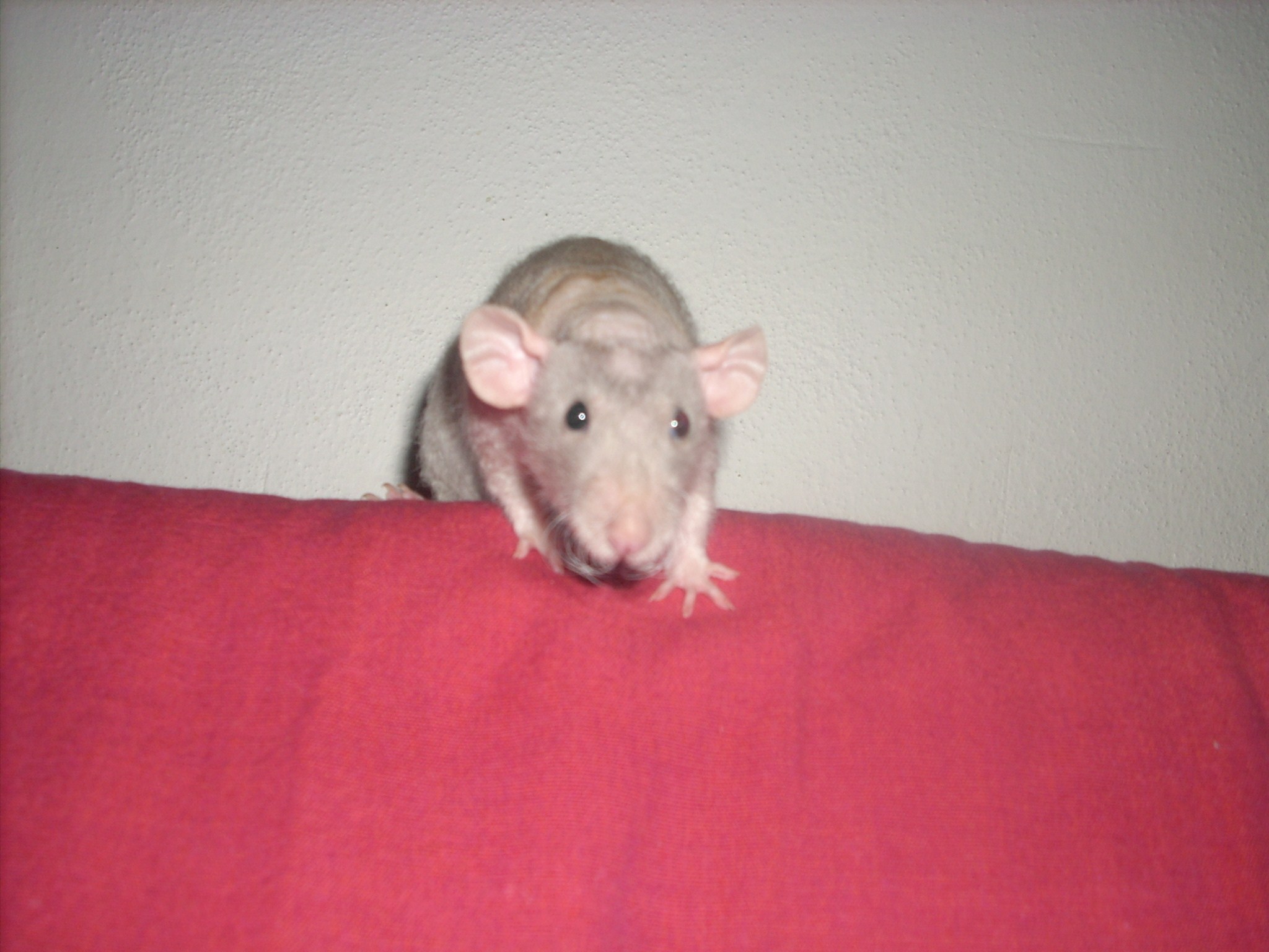 DSCN3554.JPG