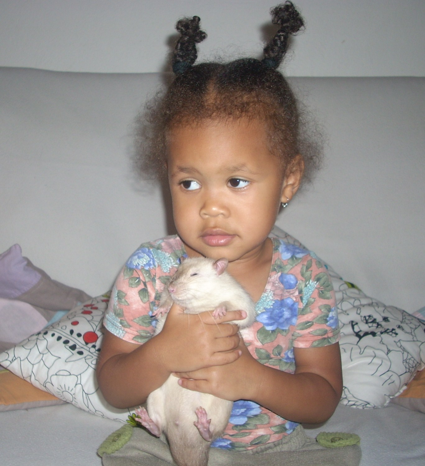 DSCN3621.JPG