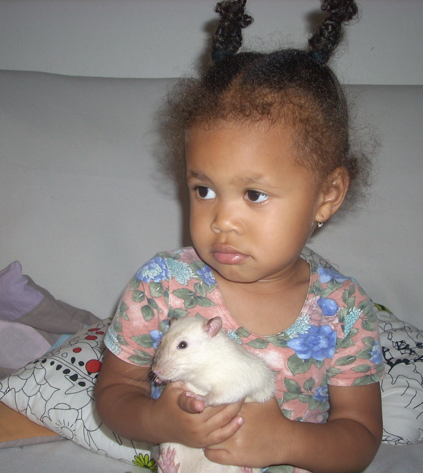 DSCN3622.JPG