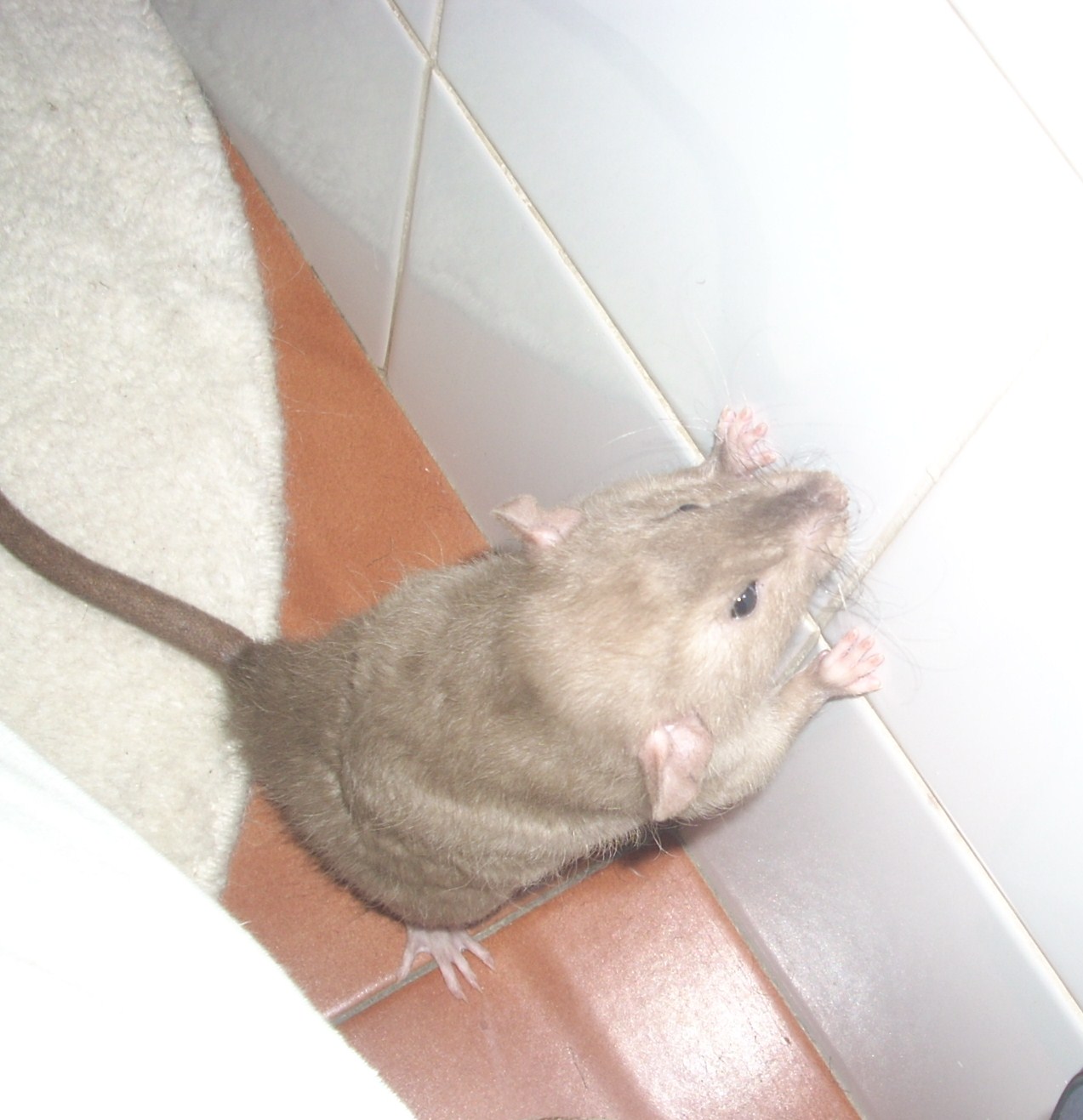 DSCN3626.JPG