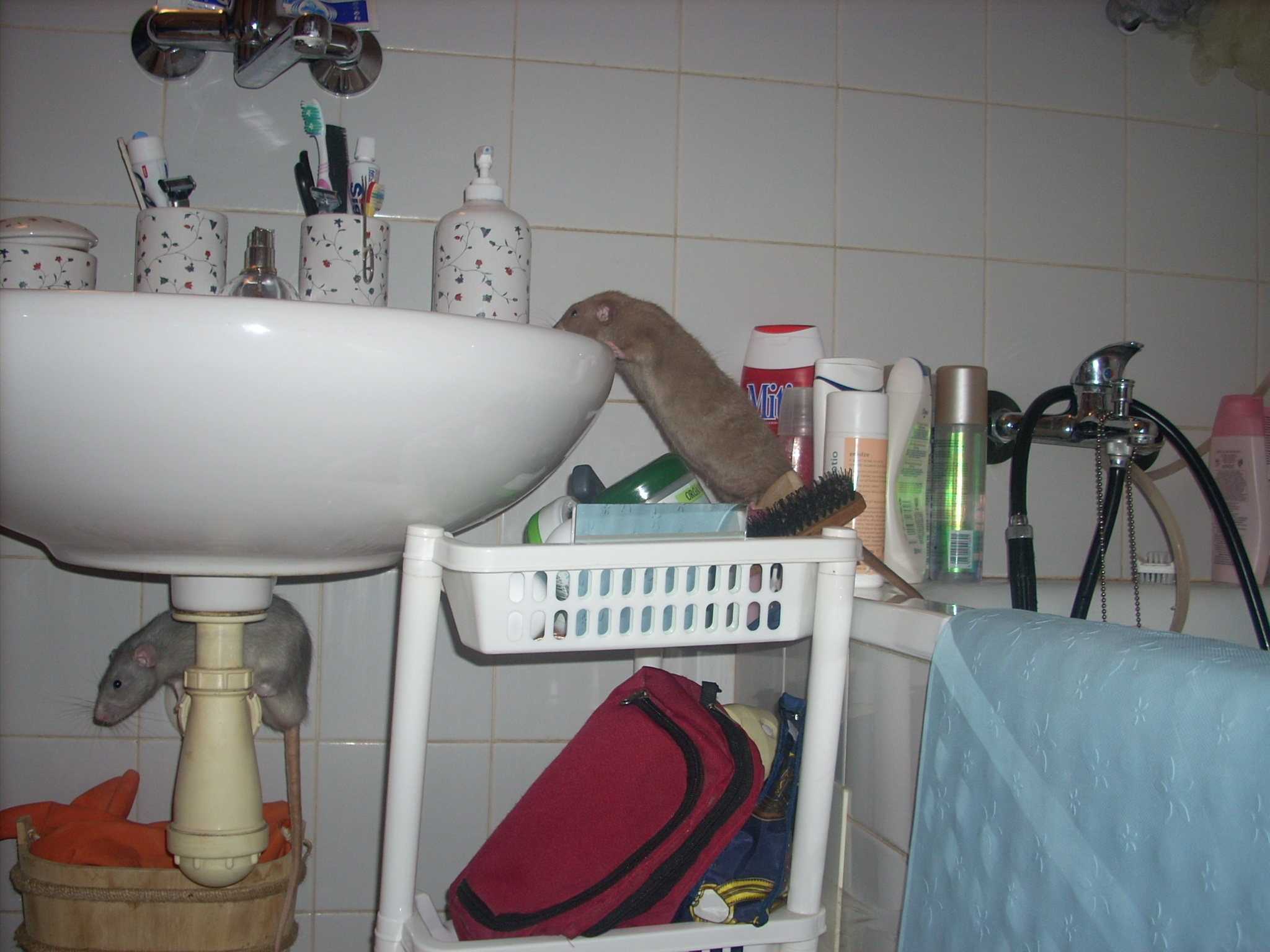DSCN3636.JPG