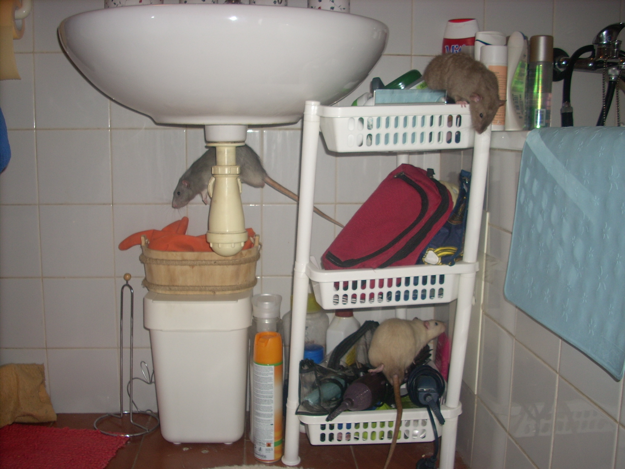 DSCN3637.JPG