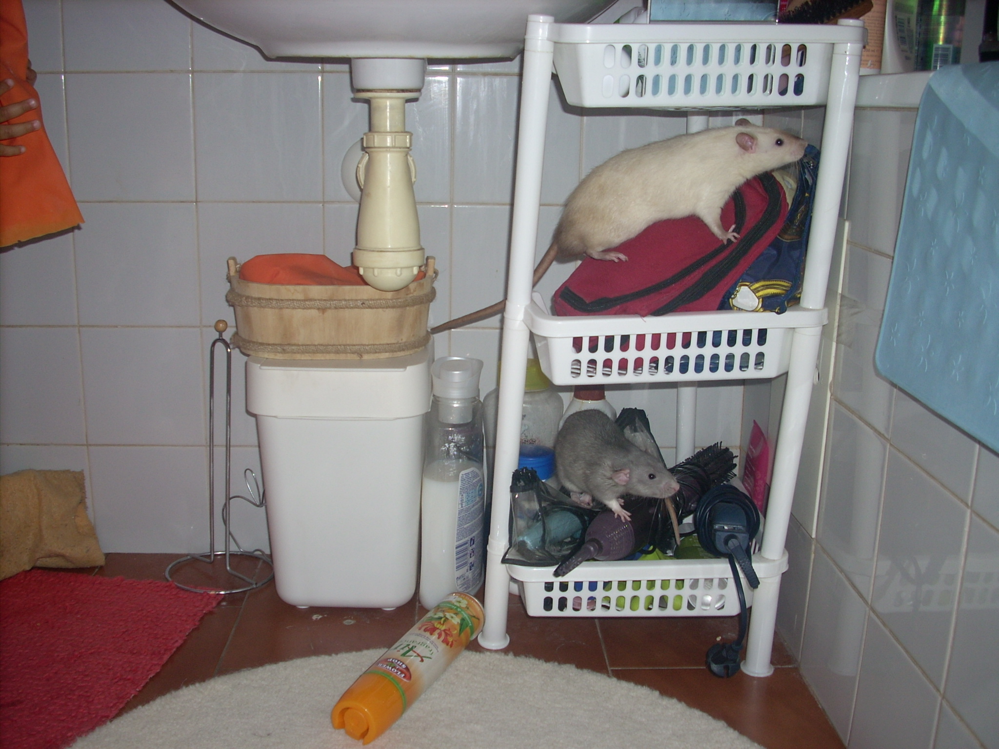 DSCN3638.JPG