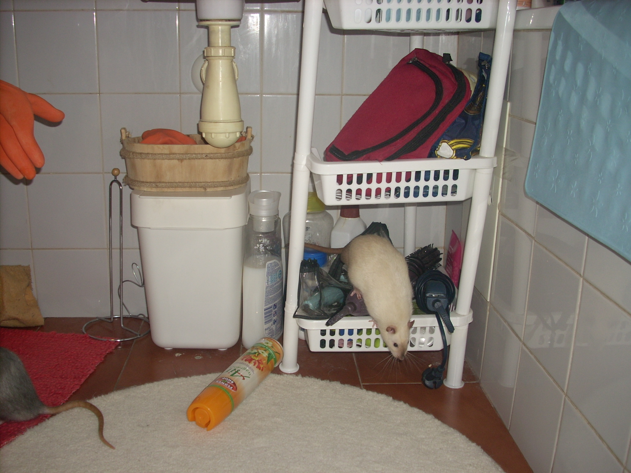 DSCN3639.JPG
