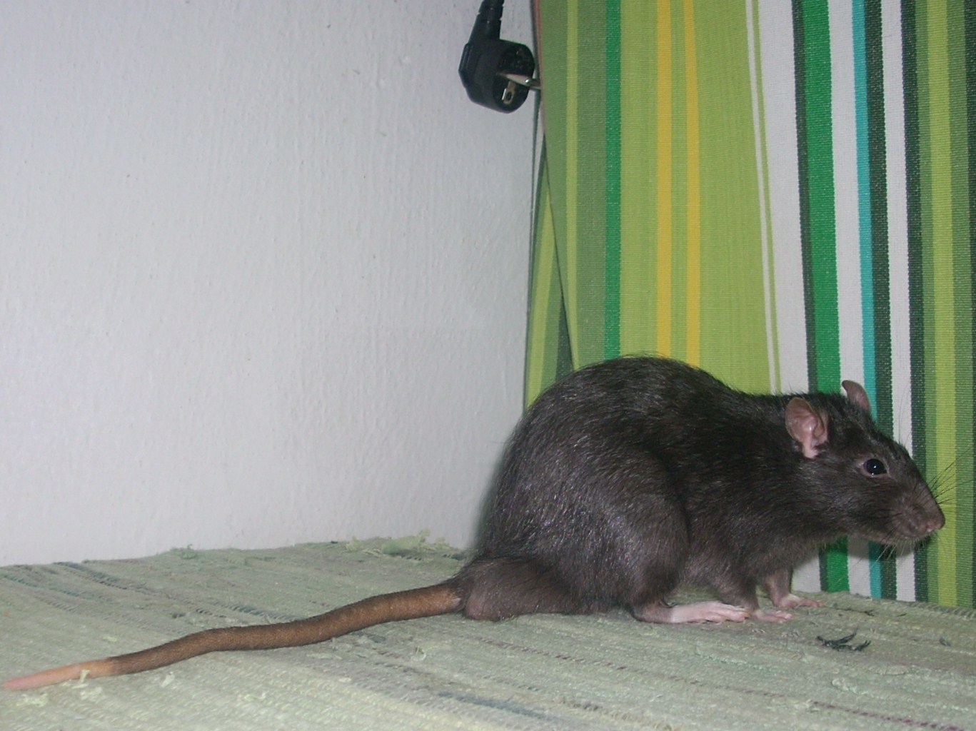 DSCN3643.JPG
