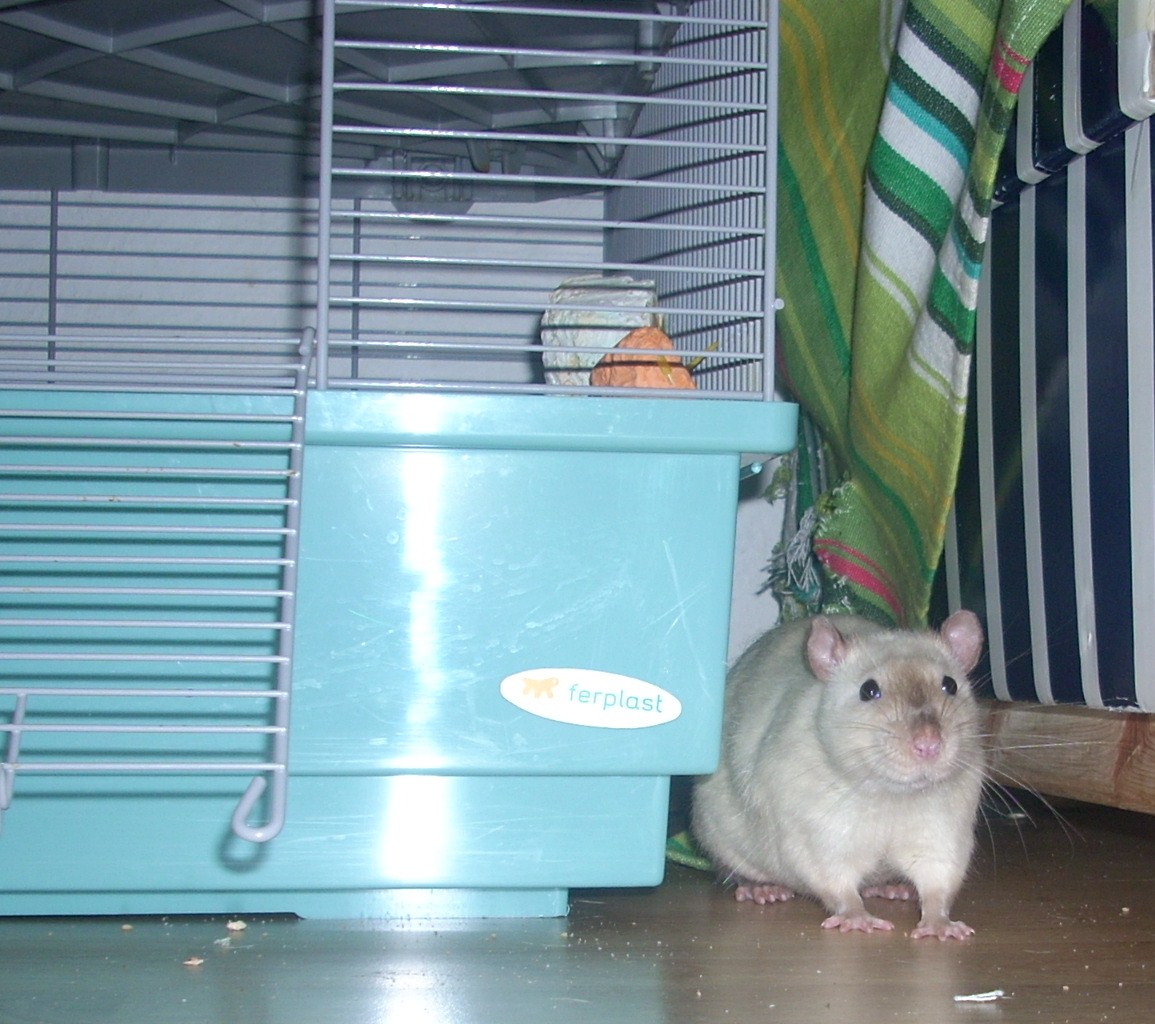 DSCN3645.JPG