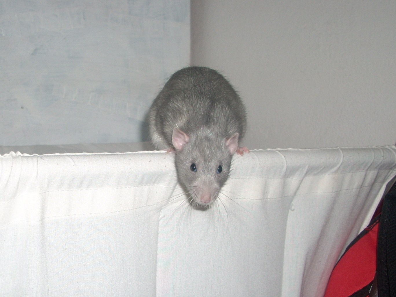 DSCN3649.JPG