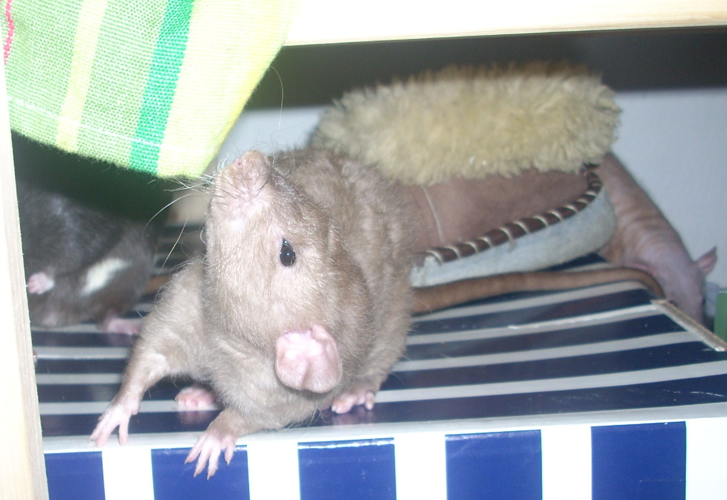 DSCN3655.JPG