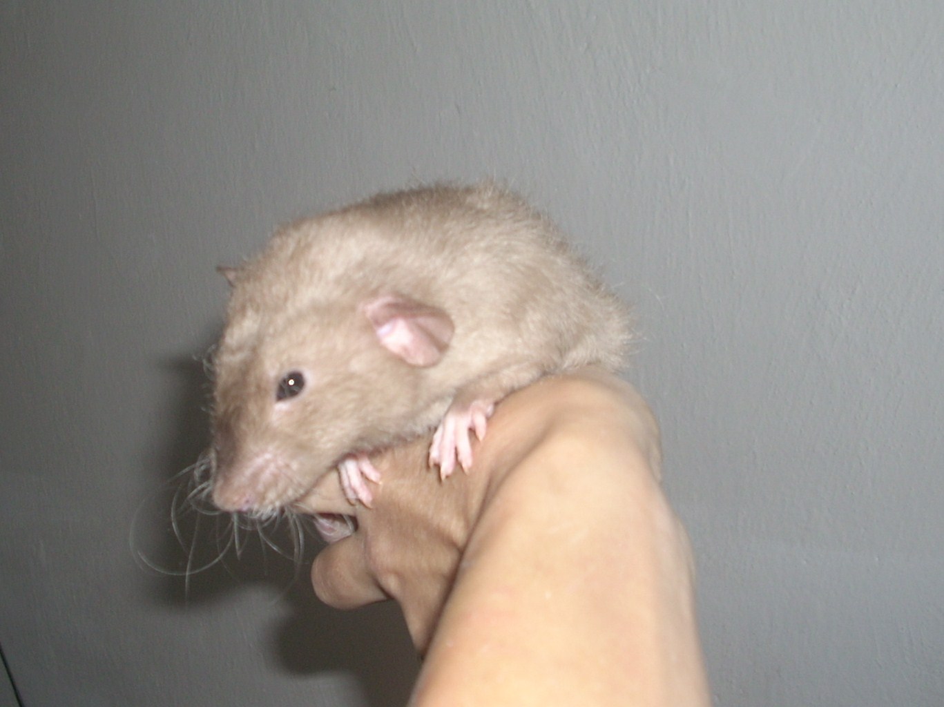 DSCN3664.JPG