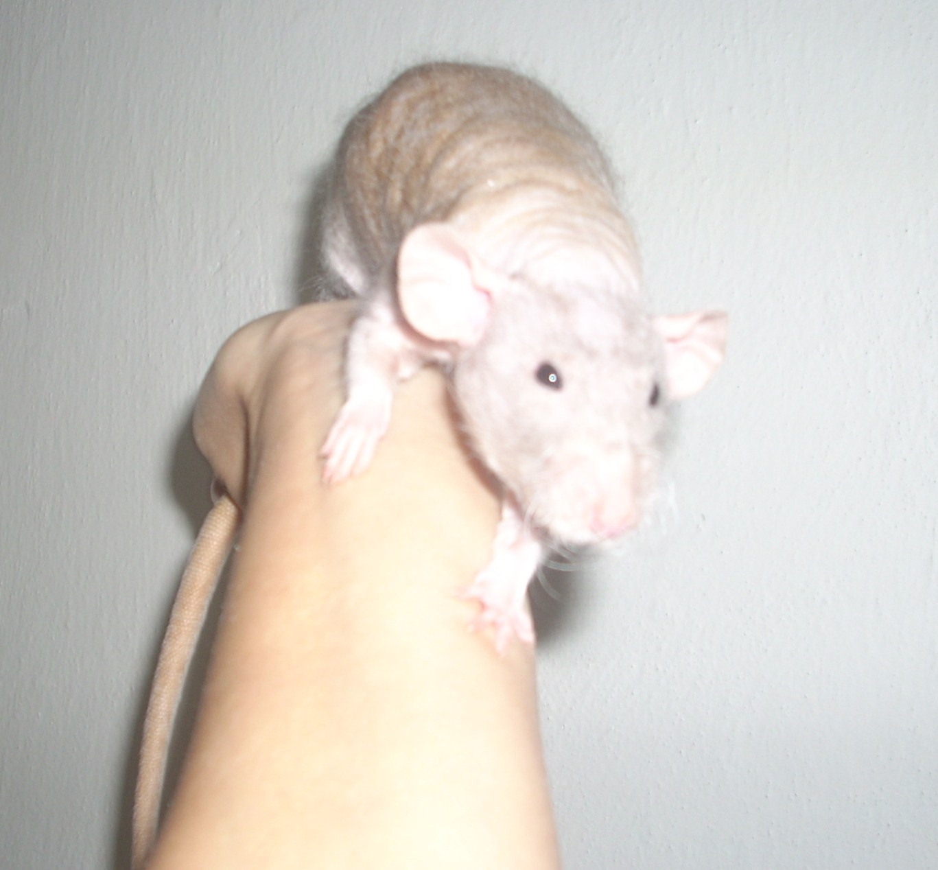 DSCN3670.JPG