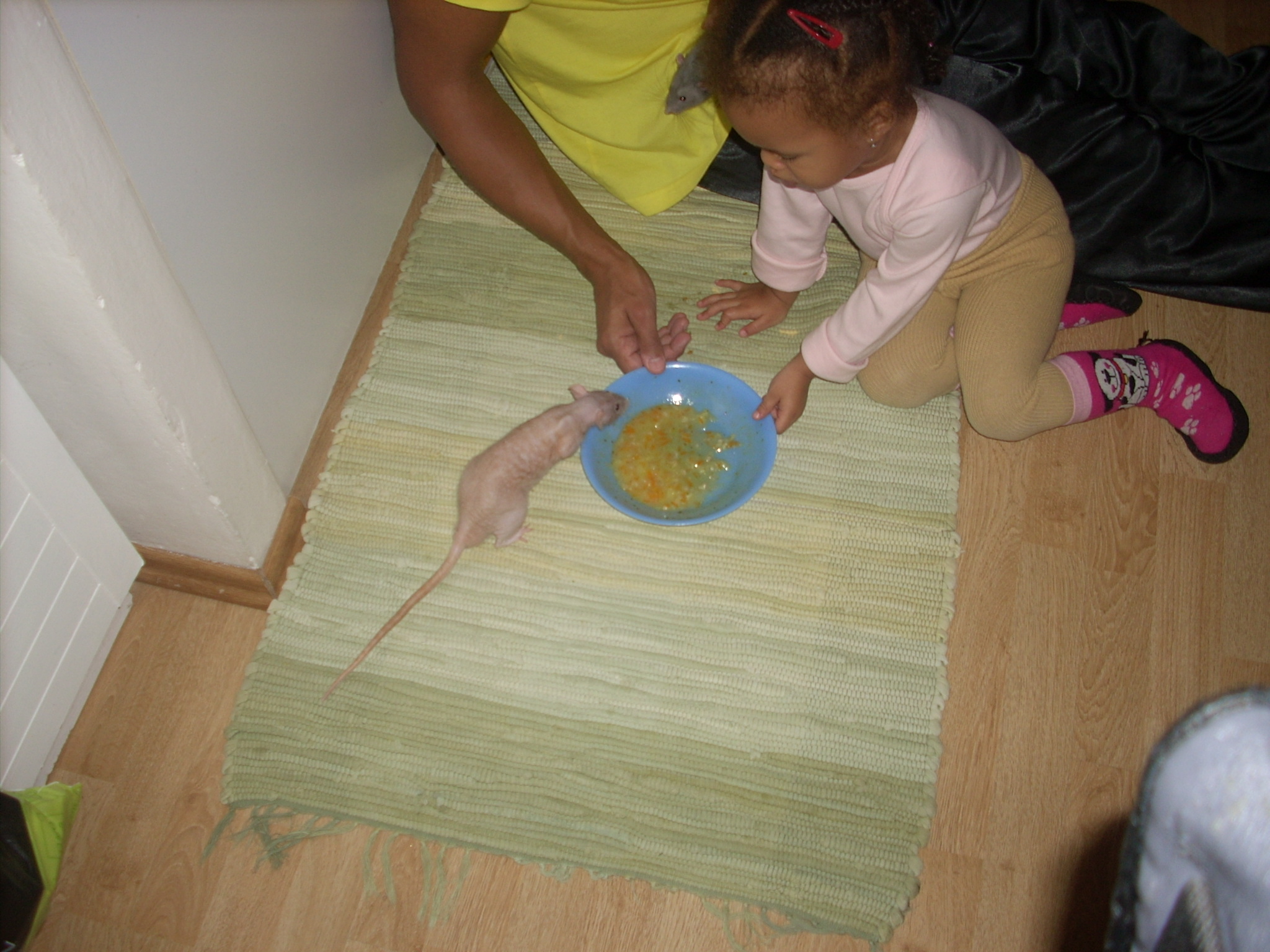 DSCN3778.JPG
