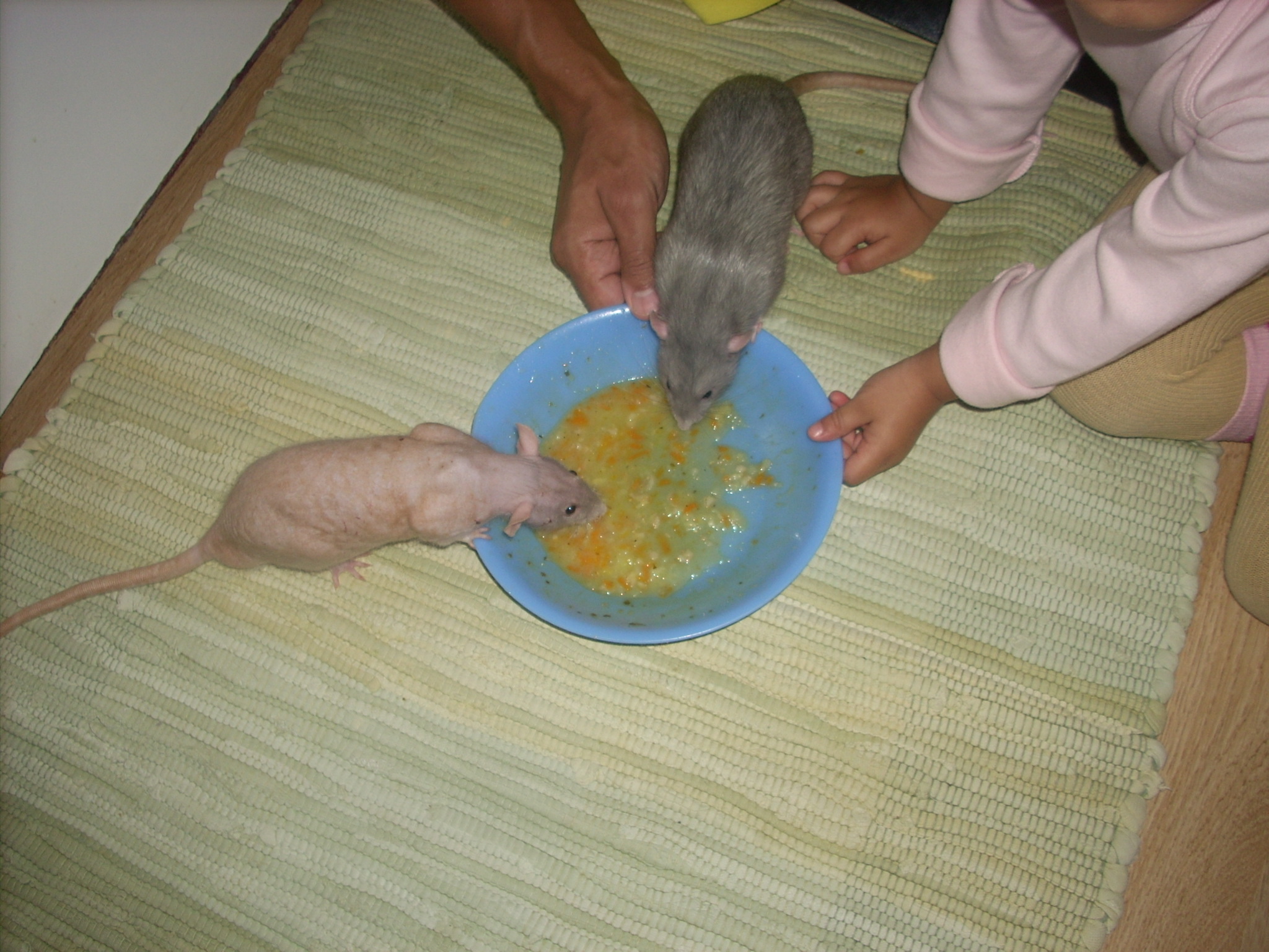 DSCN3779.JPG