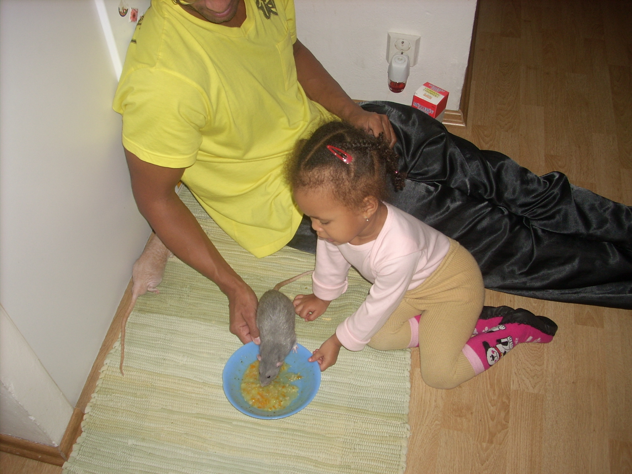 DSCN3781.JPG