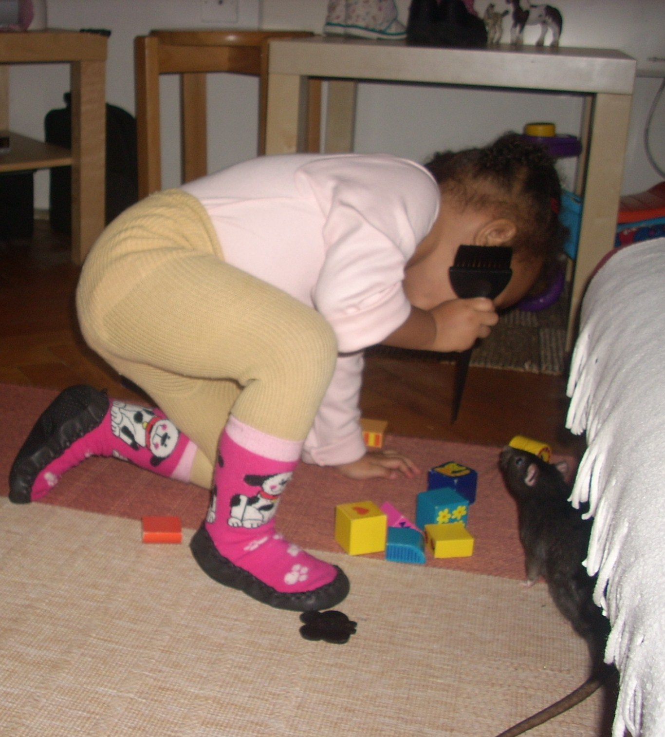 DSCN3792.JPG