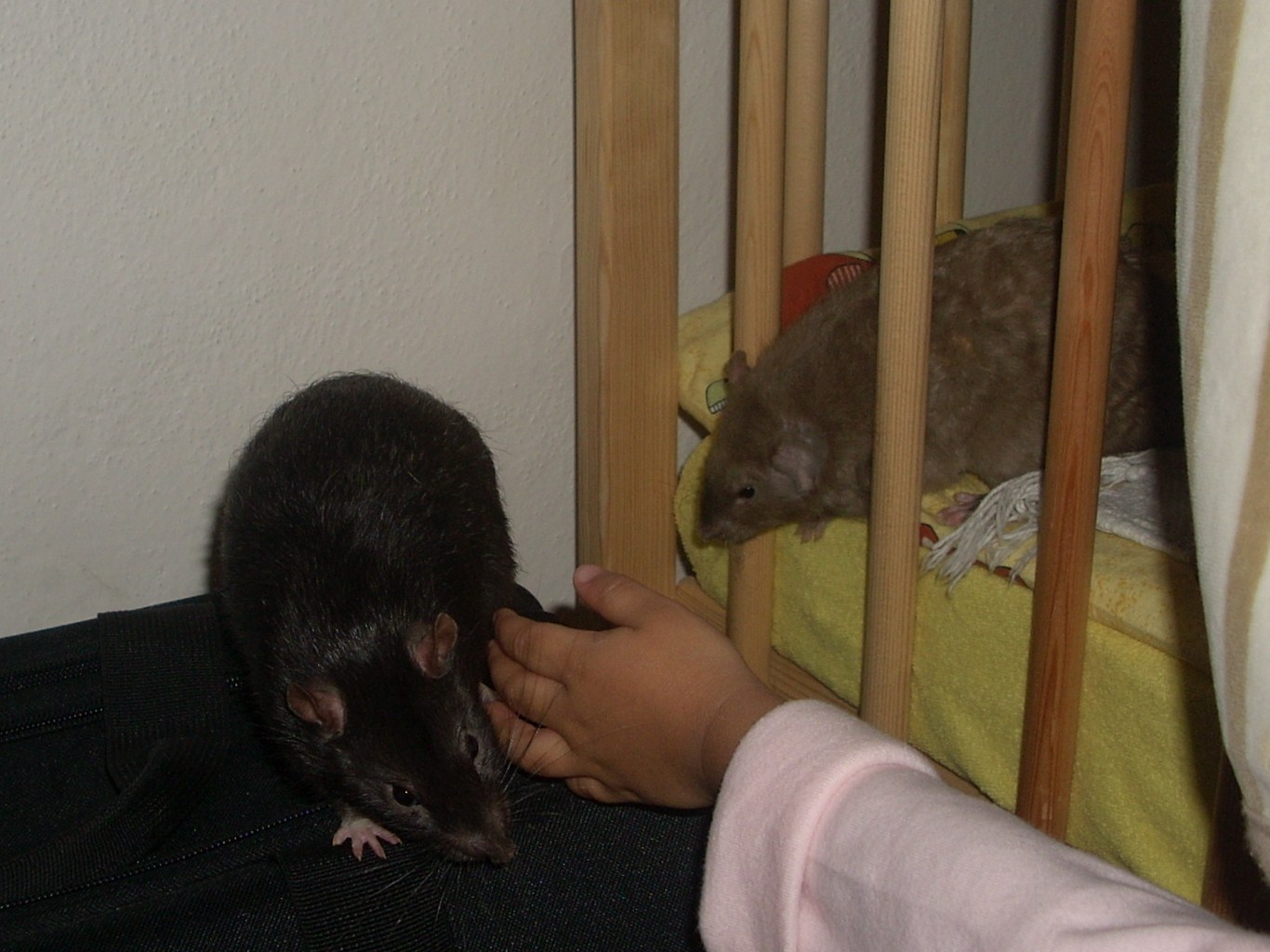 DSCN3797.JPG