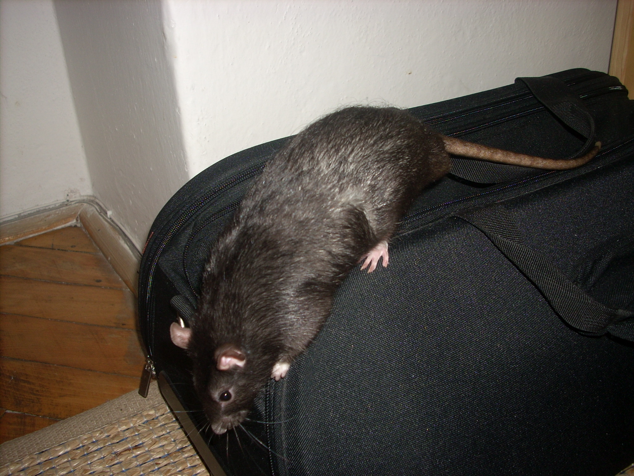 DSCN3798.JPG