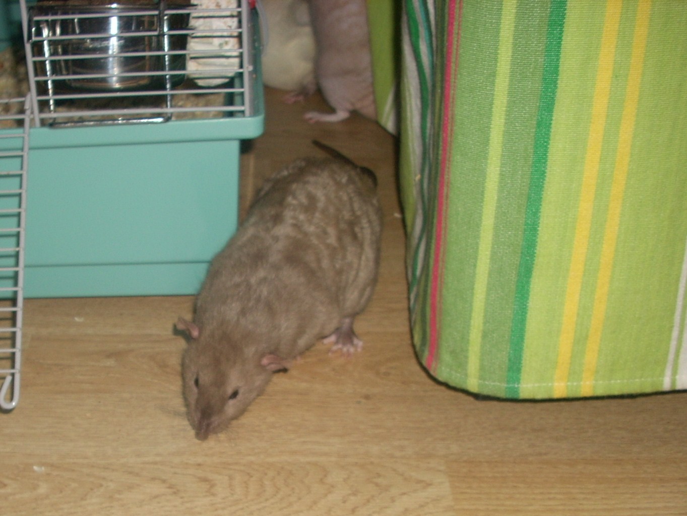 DSCN4129.JPG