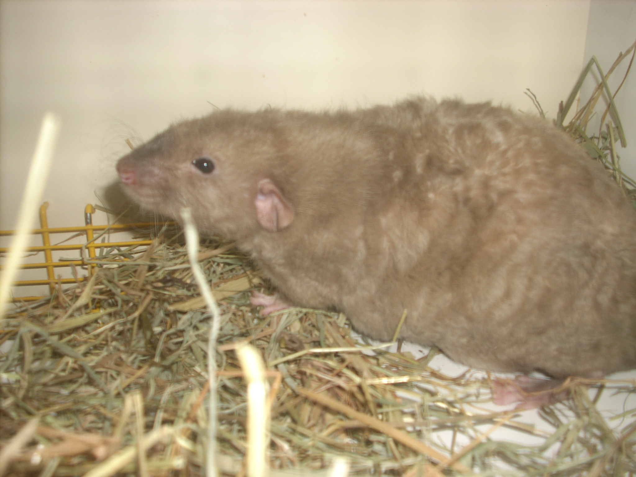 DSCN4713.JPG