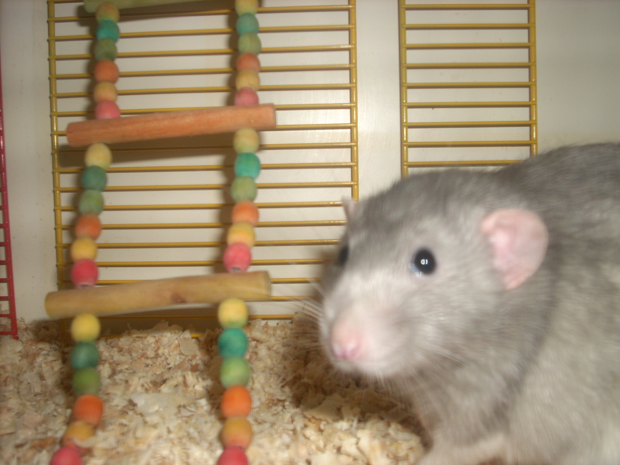 DSCN4738.JPG