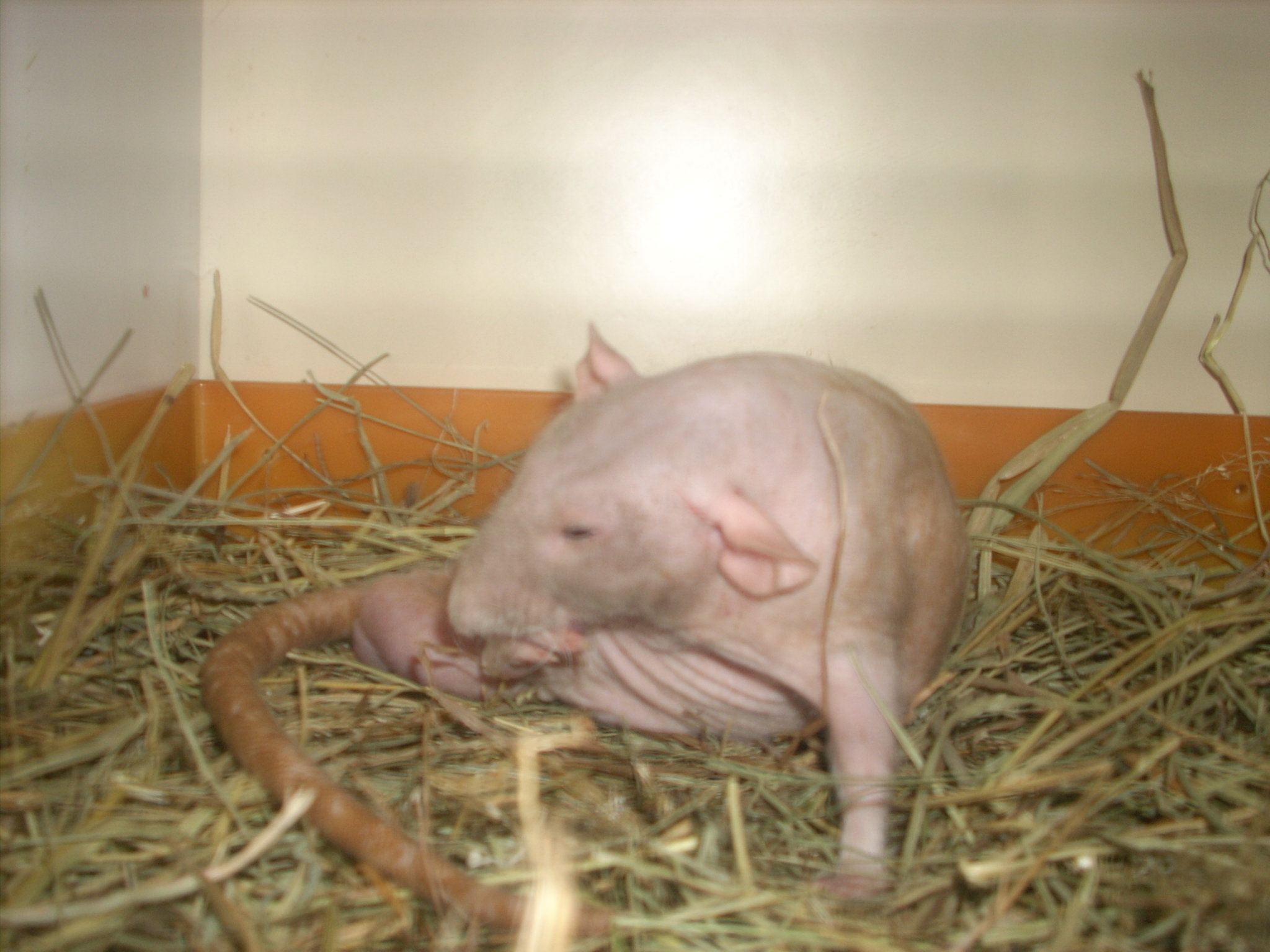 DSCN4741.JPG