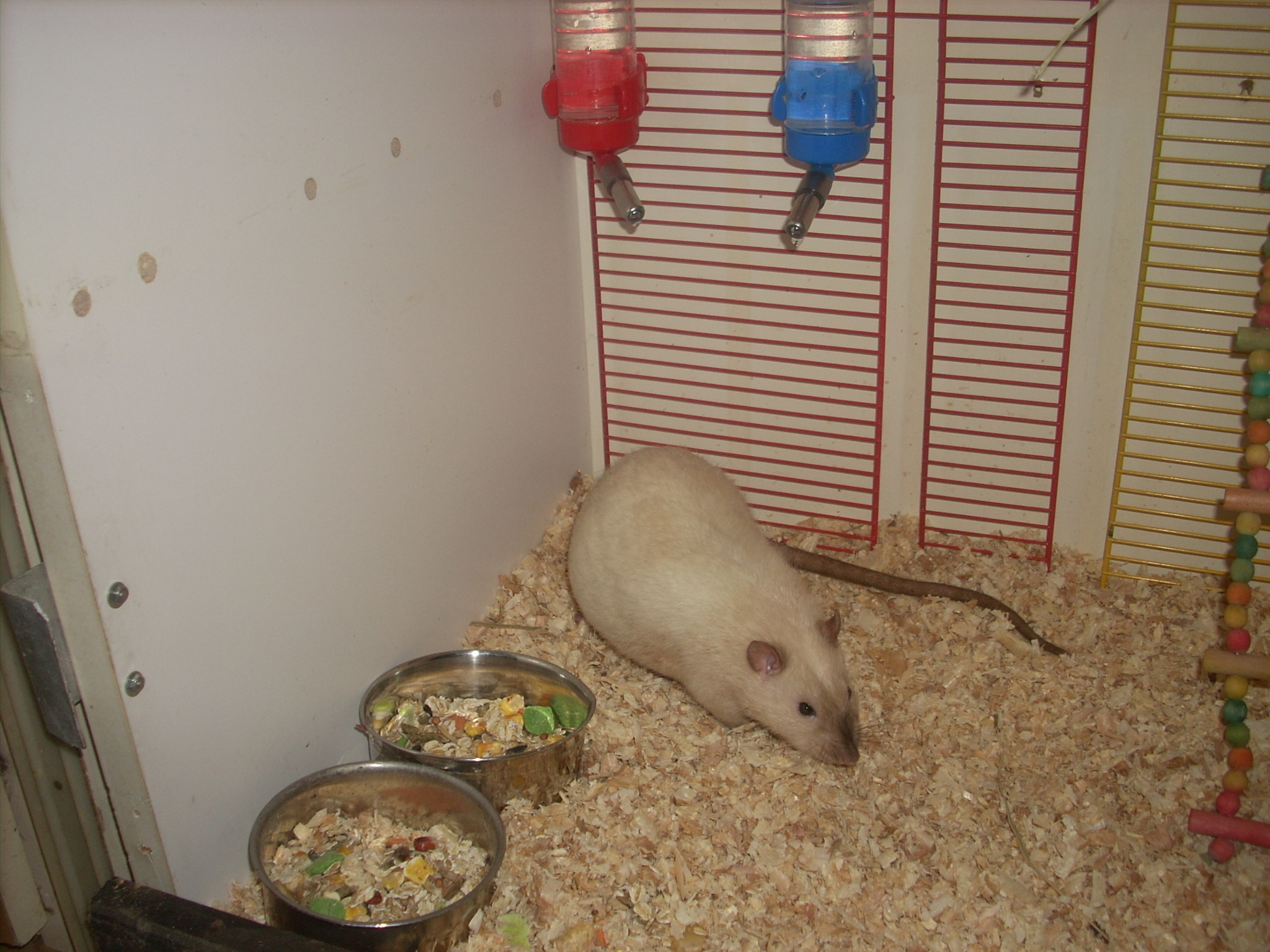 DSCN4767.JPG