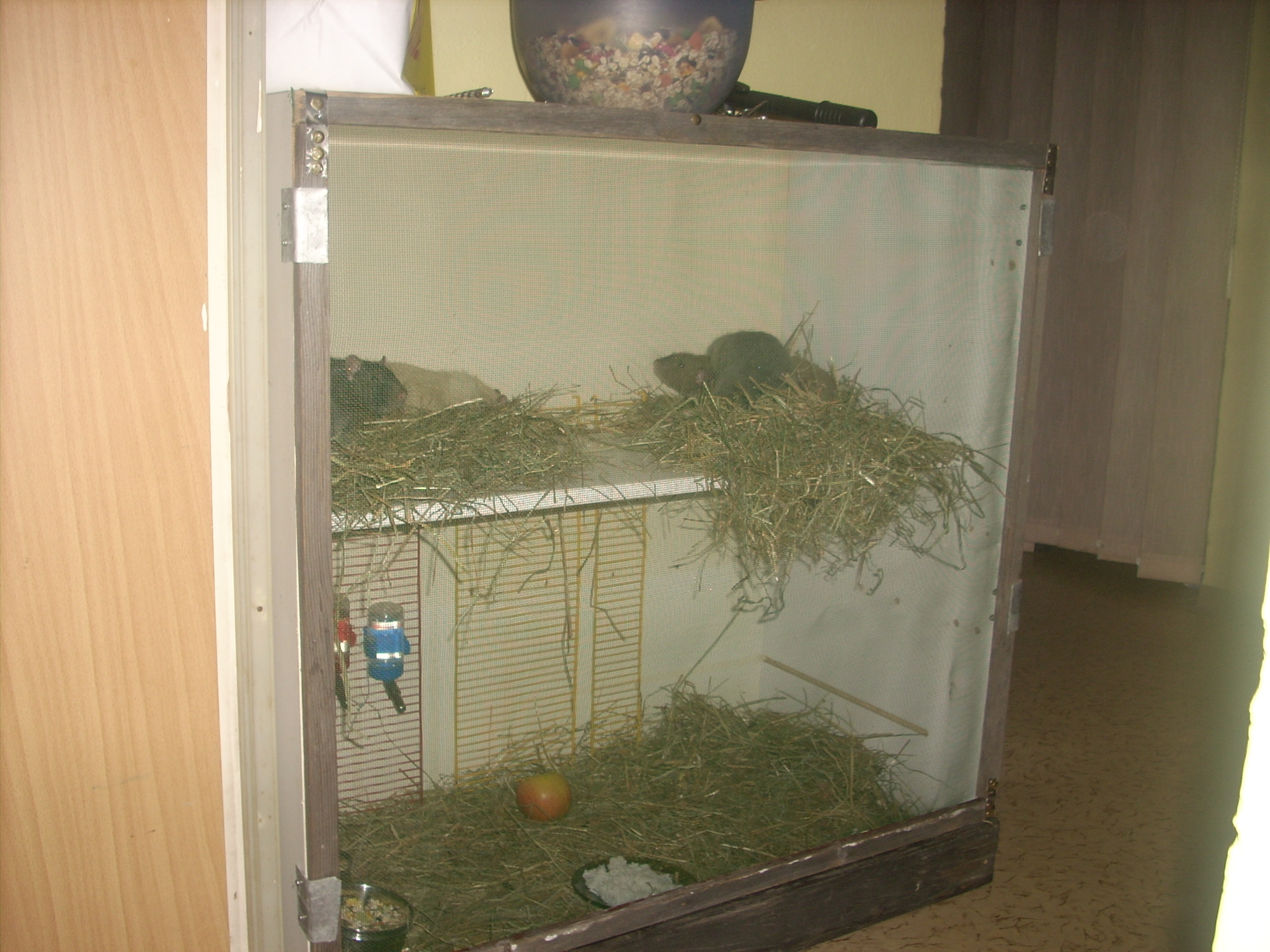 DSCN4694.JPG