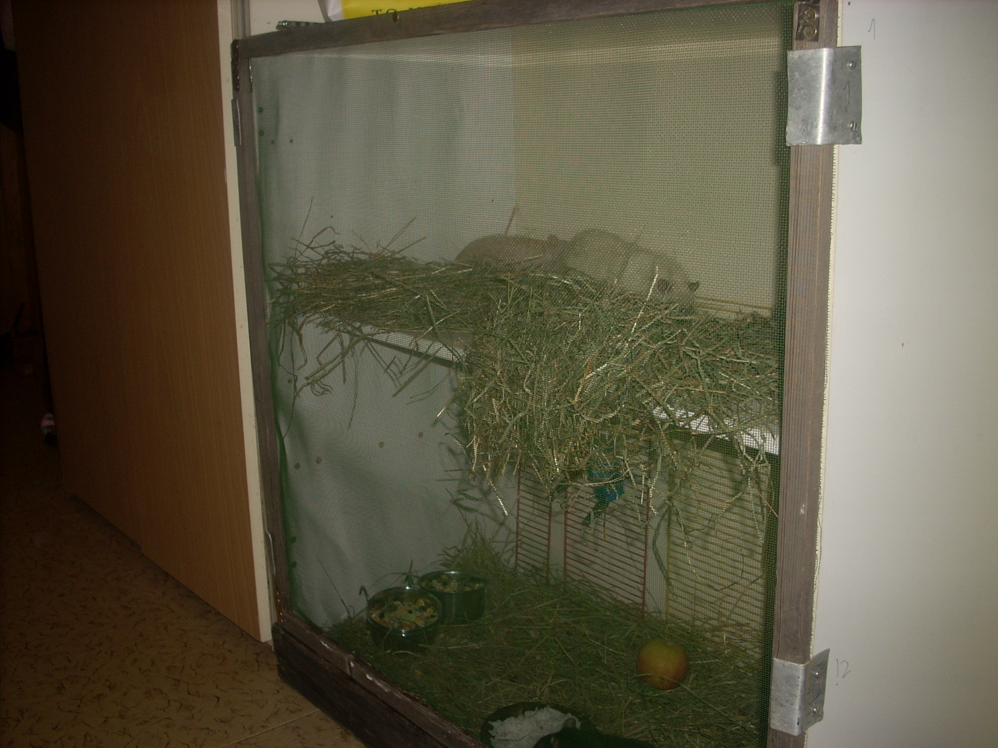 DSCN4695.JPG