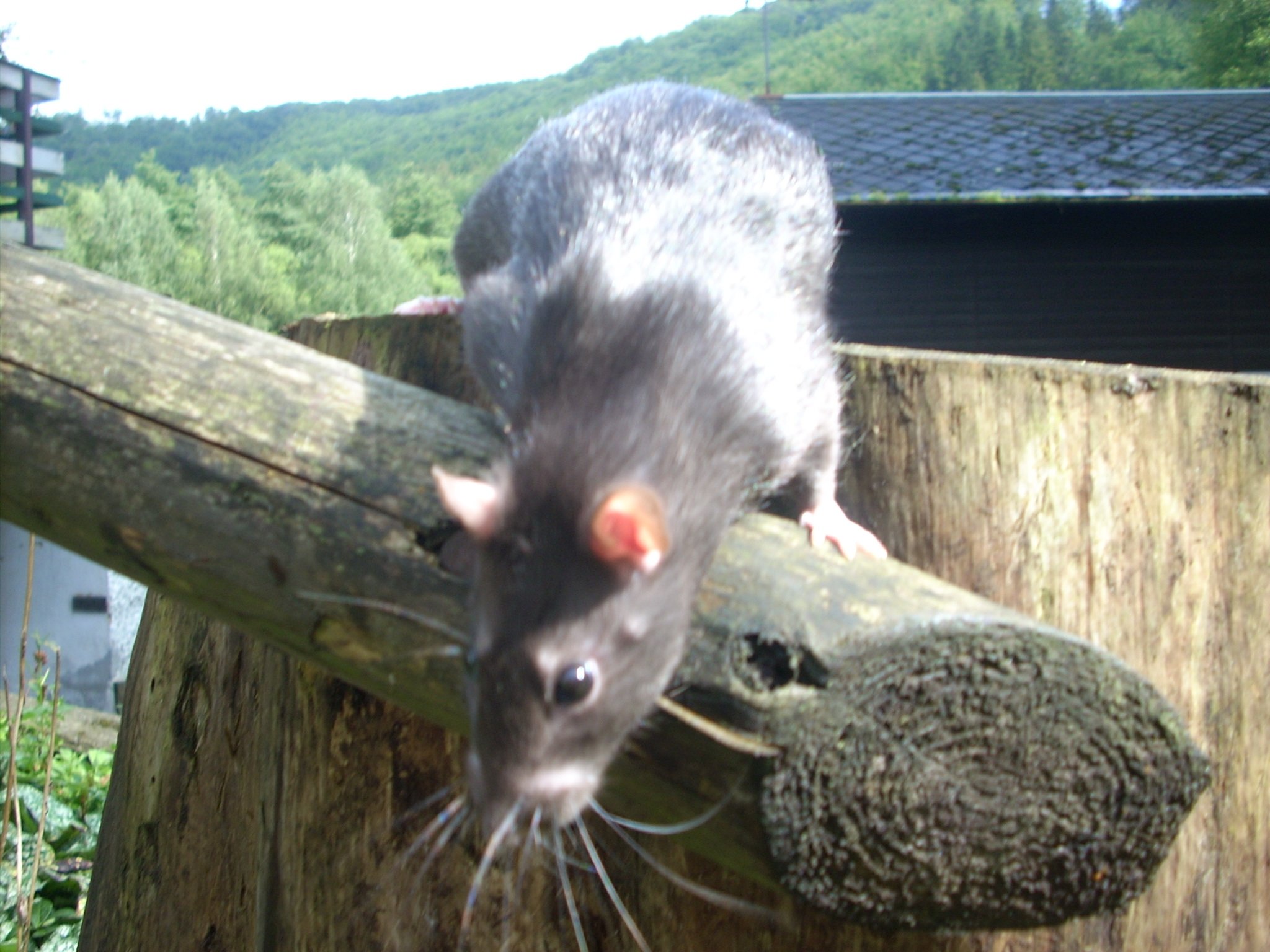 Snímek 068.jpg