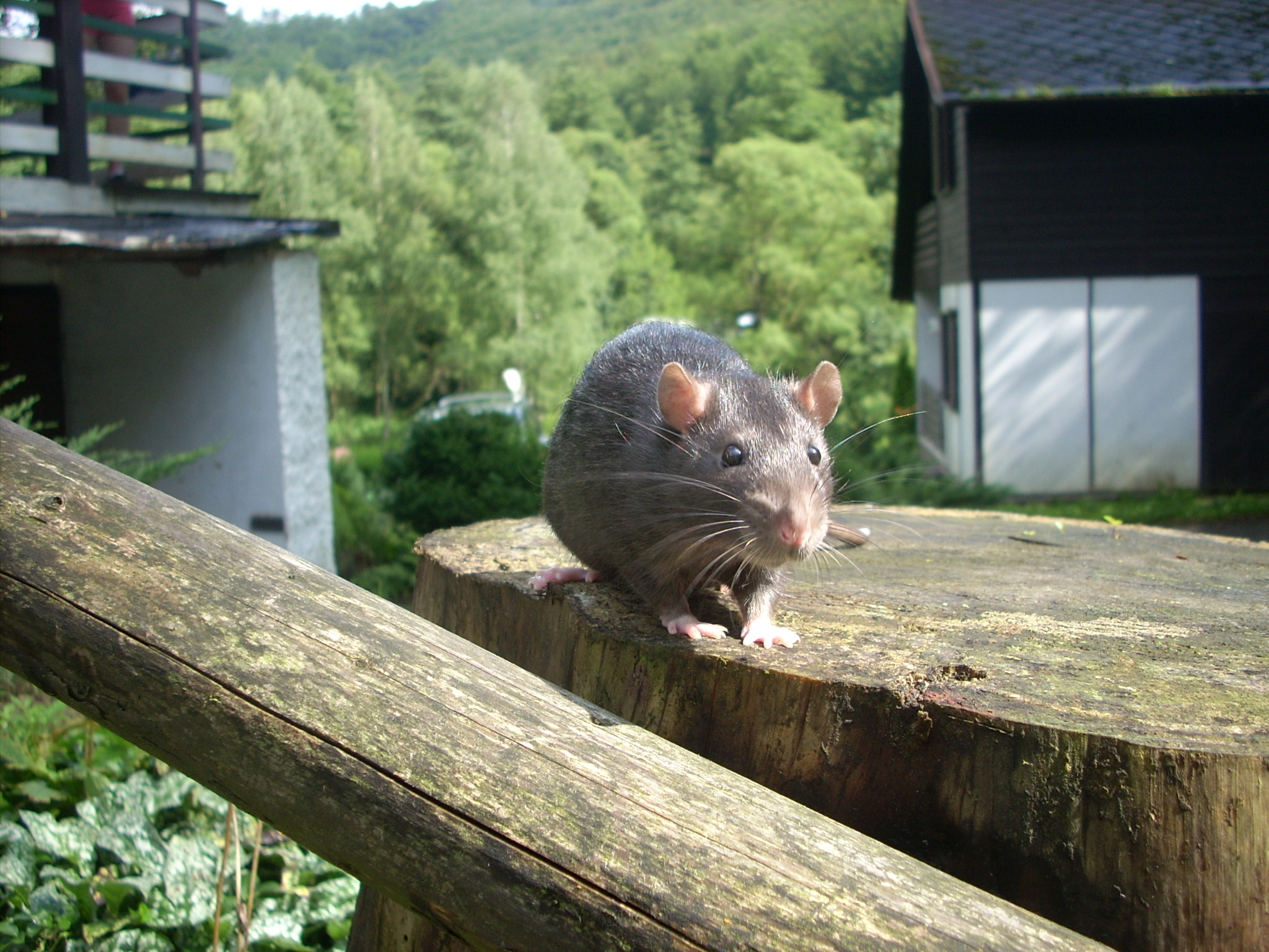 Snímek 071.jpg