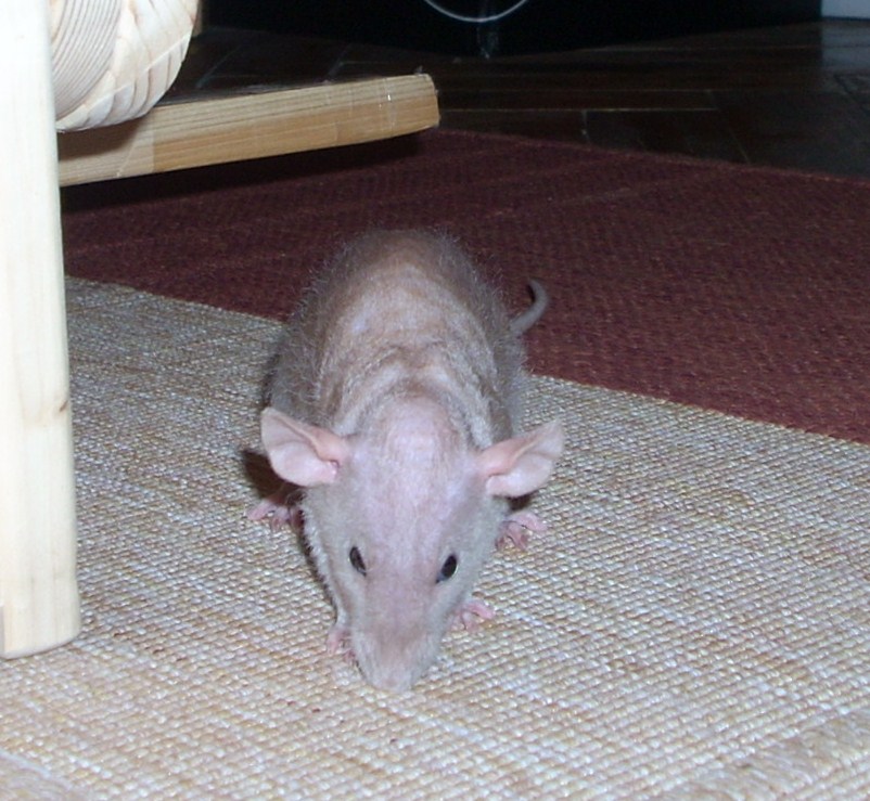 DSCN3275.JPG