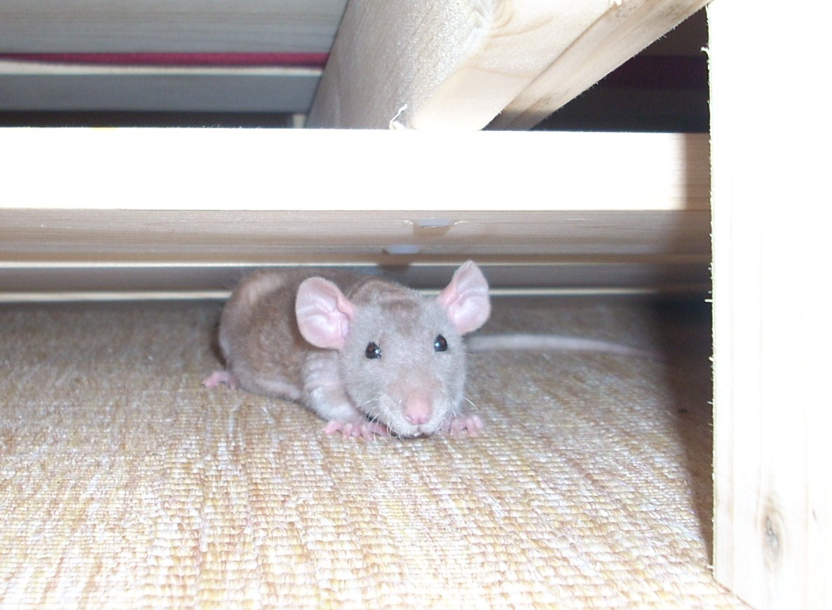 DSCN3282.JPG