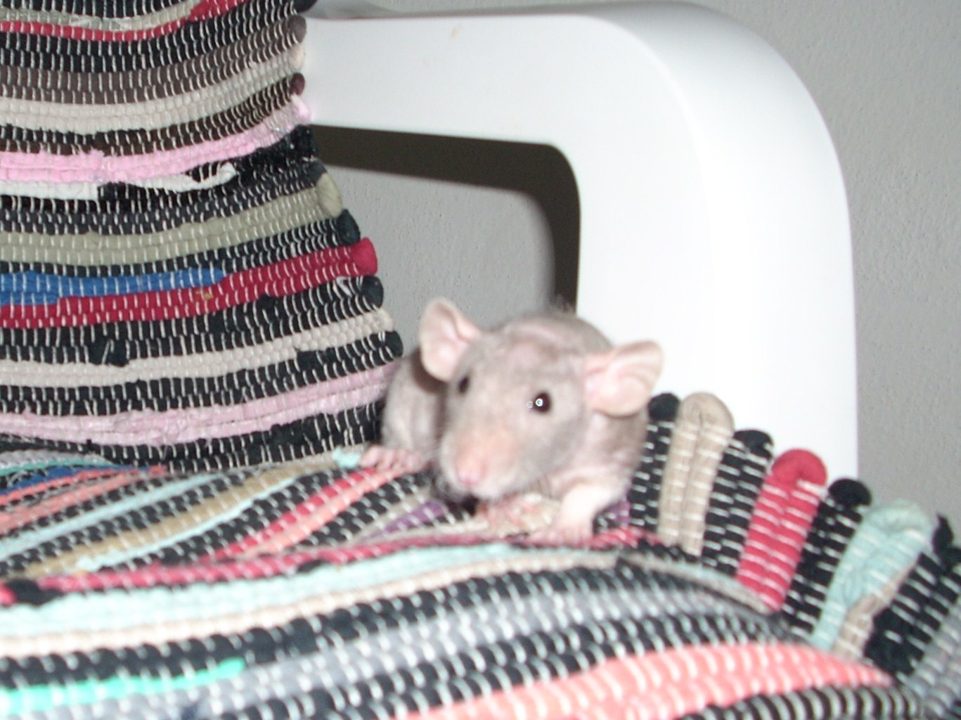 DSCN3326.JPG