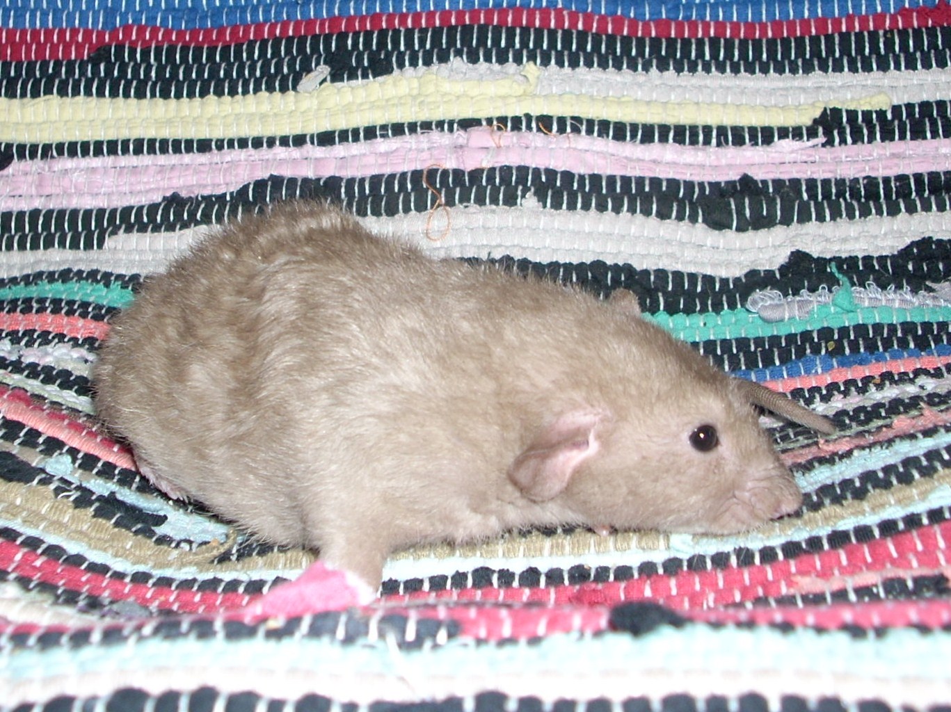 DSCN3334.JPG