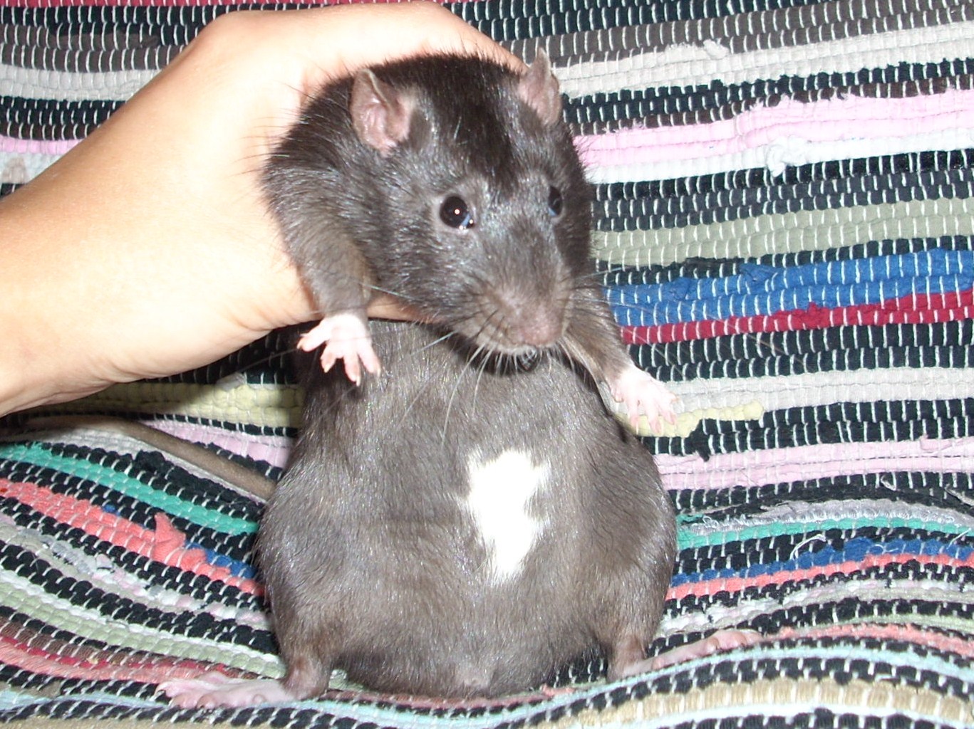 DSCN3341.JPG